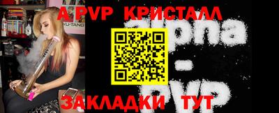 spice Кунгур