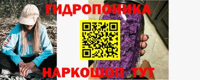 spice Кунгур