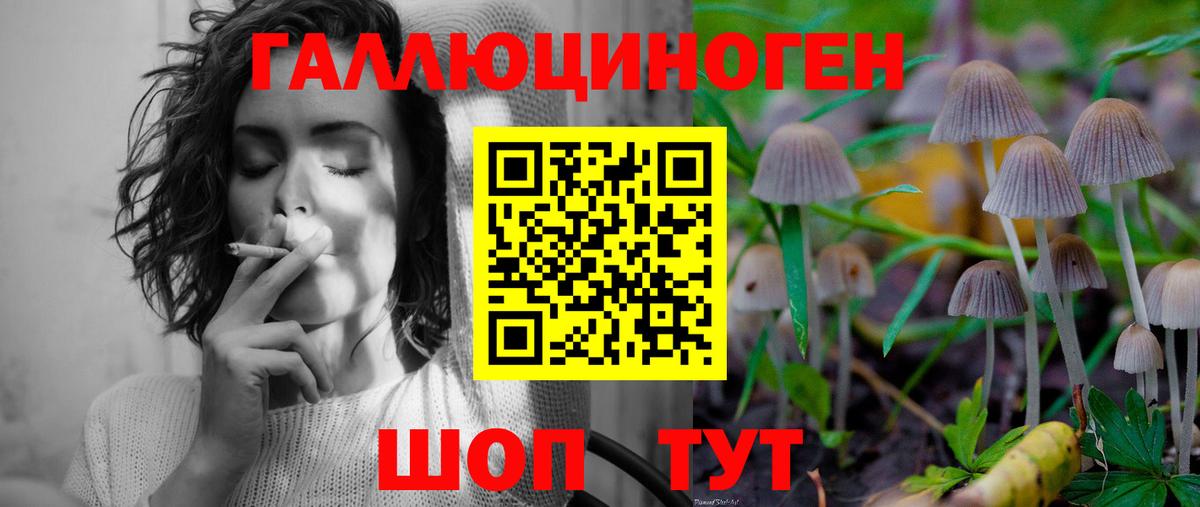 Изобильный  Псилоцибиновые грибы GOLDEN TEACHER  Вход с VPN  Галлюциногенные грибы MAGIC MUSHROOMS 